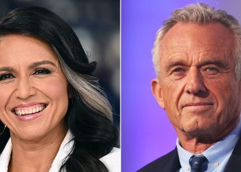 “Not Patterns That You’ve Seen”: CNBC Guest Says Many Trump Voters Were Democrats “20 Years Ago”