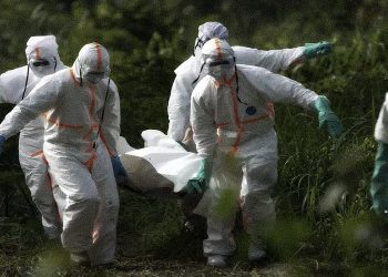 Africa Flu-Like Disease
