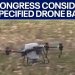 Chinese Drones