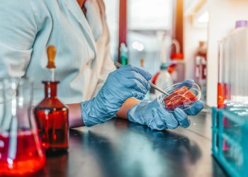 Pentagon funds alternative meat protein from fungus for military food to meet sustainability goals