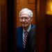 McConnell Launches Attack On ‘America First’ Despite Trump’s Electoral Mandate