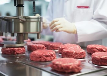 Meat