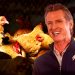 Newsom Bird Flu