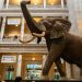 Smithsonian Museum