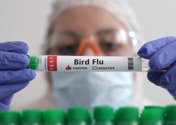 Expert Warns of ‘Bioweapons’ Threat to Disrupt Transfer of Power to Trump with ‘Disease X’