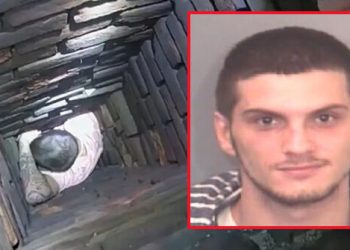 WATCH: Massachusetts Police Find Suspect on the ‘Naughty List’ Stuck in Chimney