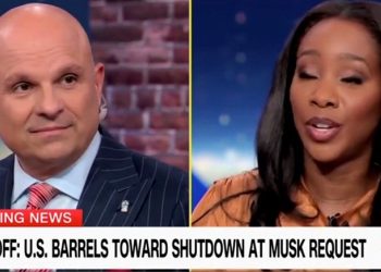 CNN Panel Gets Into Heated Exchange After Panelist Says Musk and Trump Have “No Interest in Governing”