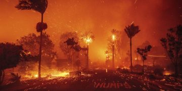 20 Looters Arrested in LA So Far But Reports Suggest Many More Are Out There