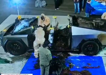 Elon’s ‘Trump Tower explosion’ updates shine new light on terror attack…