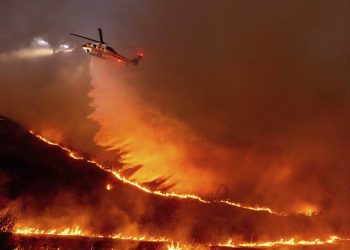 LA Descends Into Chaos as Looters Exploit Wildfires