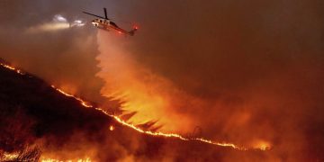 LA Descends Into Chaos as Looters Exploit Wildfires