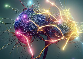 Brain Implants
