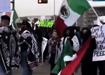 Dallas Illegal Aliens