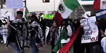 Dallas Illegal Aliens