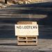 Looters