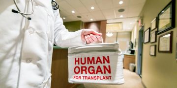 Canadian Doctors: Why Not Take Organs From Live Assisted-suicide Patients?