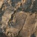 Byzantine monastery with mosaic inscription from Deuteronomy discovered near Kiryat Gat