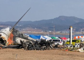 Aviation Consultant Says Official Explanation of South Korean Plane Crash Doesn't Add Up