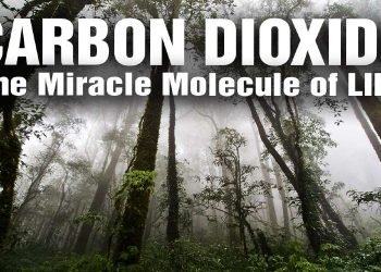 The Green Revolution: How CO2 Is Saving the Planet, Not Destroying It