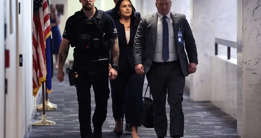 Tulsi Gabbard Says She Now Supports Controversial Surveillance Law