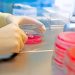 Scientists discover dangerous drug-resistant strains of deadly superbug in Saudi Arabia