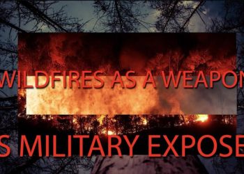 Must Watch: How Forest Fires Are Deployed As a Military Weapon
