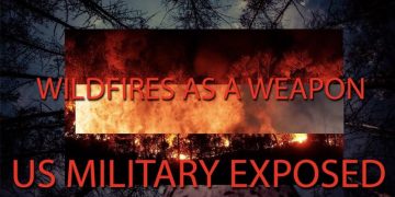 Must Watch: How Forest Fires Are Deployed As a Military Weapon