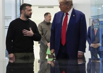 Zelenskyy Endorses Trump's Plan to End Russia-Ukraine War 'Sooner'