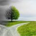 Crossroads