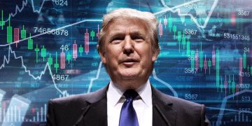 Trump Stock Market