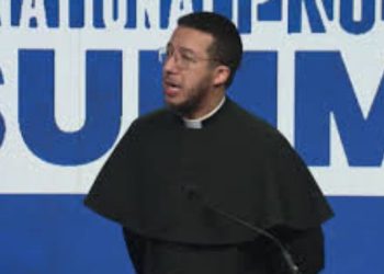 The Left’s Latest Purge: Priest Fired for Supporting Elon Musk (Video)