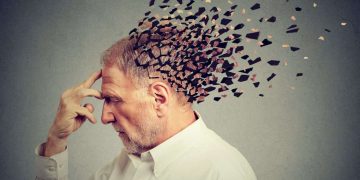 Brain