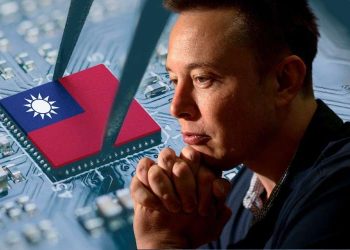 Taiwan Musk