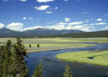 Yellowstone