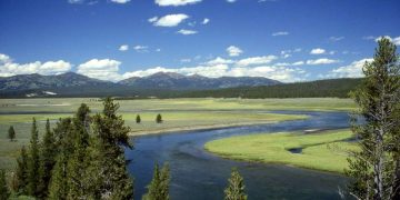 Yellowstone
