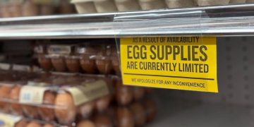U.S. Scours the World for Egg Supplies After Traitor Joe’s “Insane Slaughter of 150 Million Chickens”