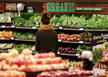 Why is Organic Food More Expensive?