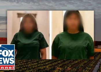 American Citizens Smuggling for Cartels