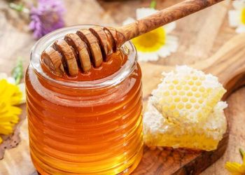 Honey