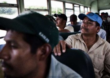 Illegal Alien Workers