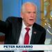 Peter Navarro
