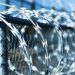 Razor Wire