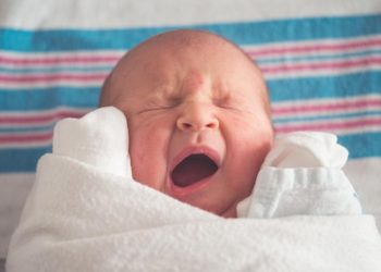 New Study Predicts Global Population Collapse, Abortion Partly to Blame
