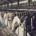 Aluminum Smelters