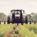 Farmers
