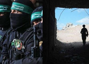 Hamas