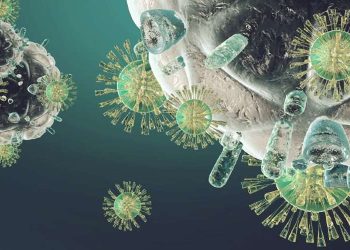 Immune System