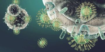 Immune System