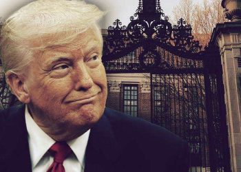 Trump Harvard