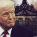 Trump Harvard